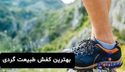 بهترین کفش طبیعت گردی